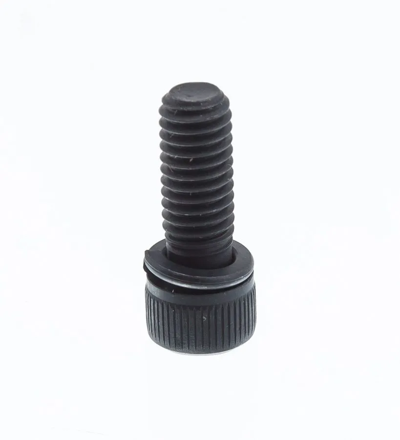 Main